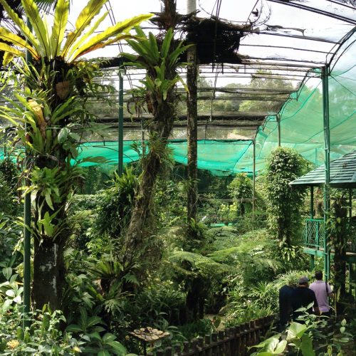Butterfly Park